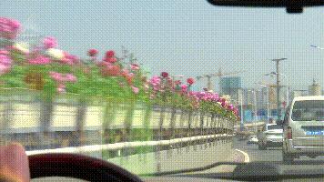 何必远游，昆明这些路上的美景就美呆