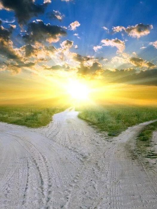 绿草自然风景图片,惊艳高清山水花草风景图片