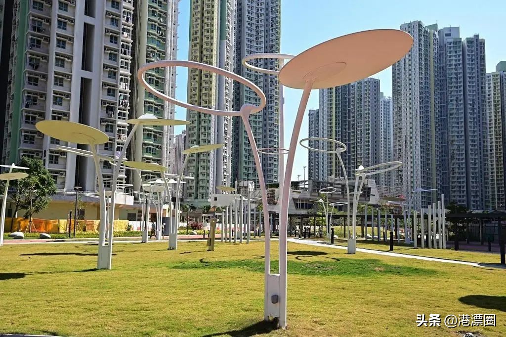 50年代的香港包租婆,香港包租公每月花8万租