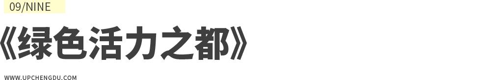 成都向上最新信息,年度向上力量合照