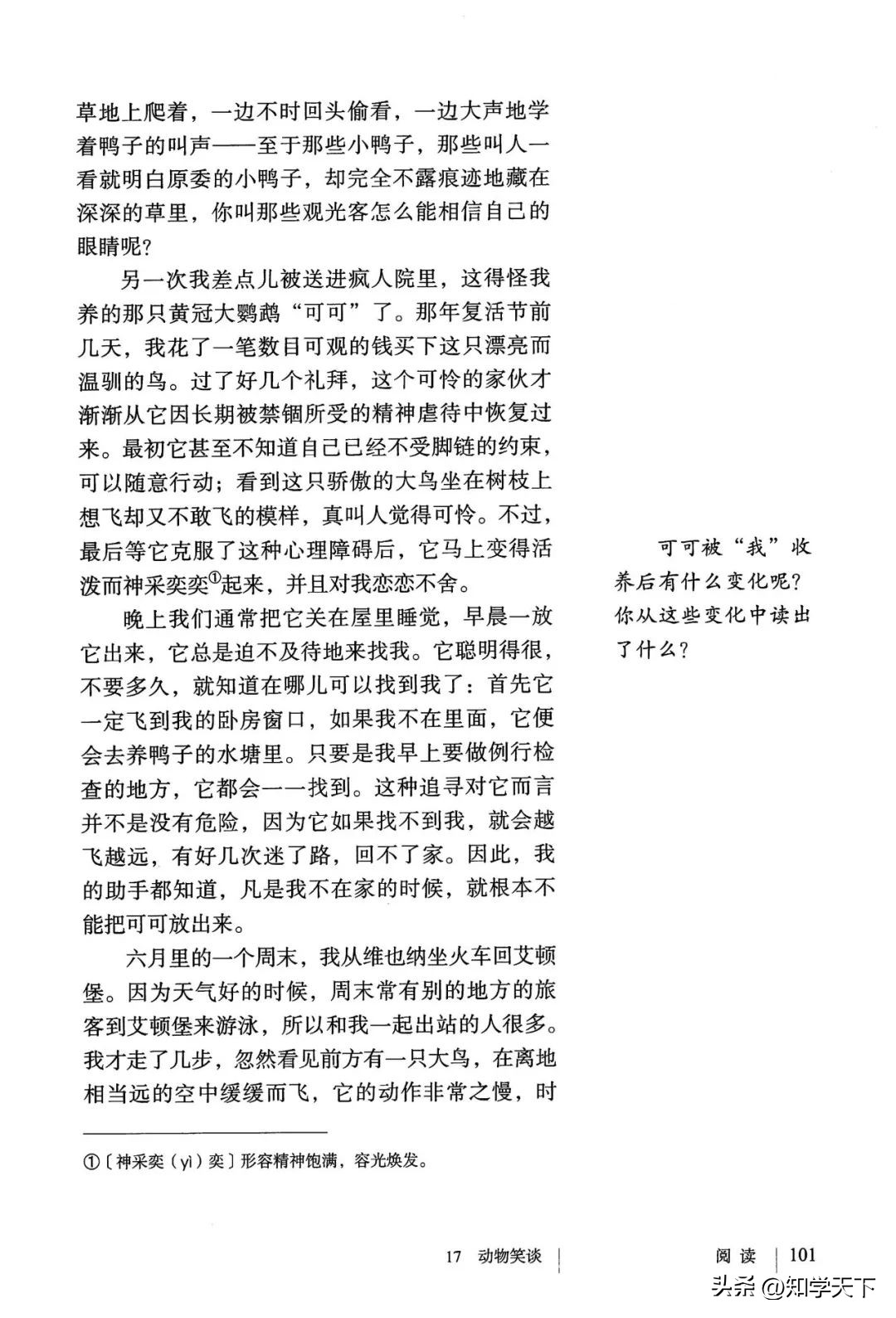 人教版七年级上册语文电子课本pdf,九年级上册语文电子课本高清pdf