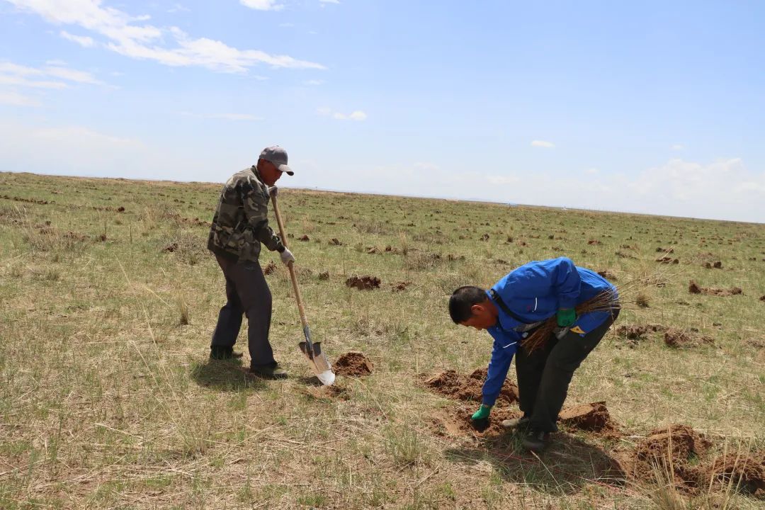 推动各项任务落地见效,推进五大行动
