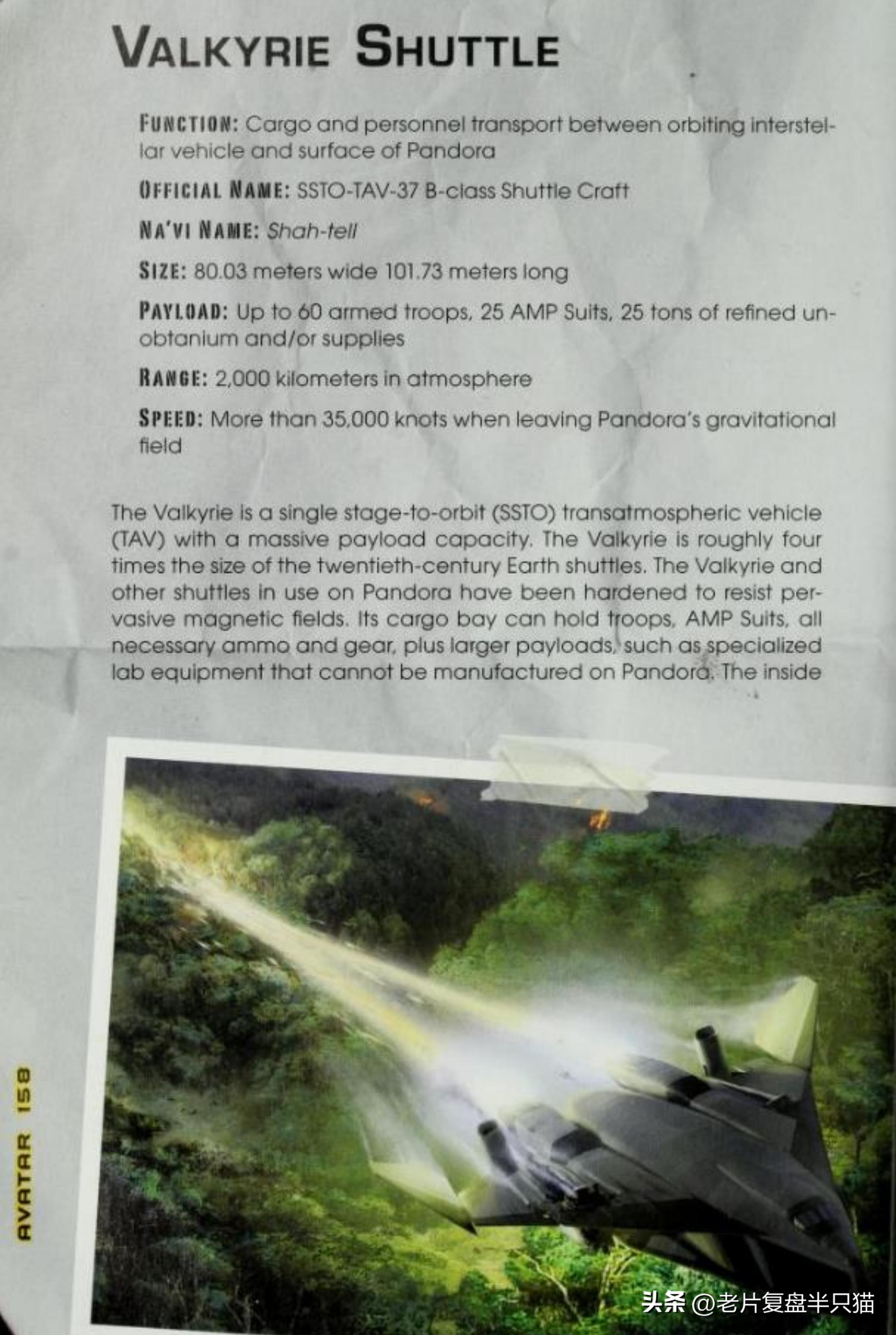 阿凡达十大装备,阿凡达装备大全