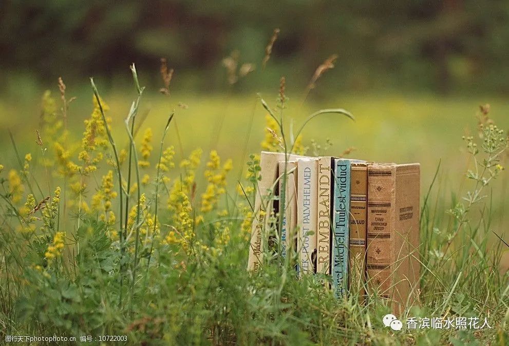 奋斗成就梦想作文小学生,奋斗成就梦想作文一年级