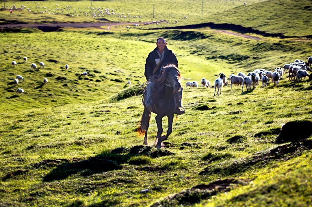 都去挤*疆新**？我选这个20°C的西北秘境