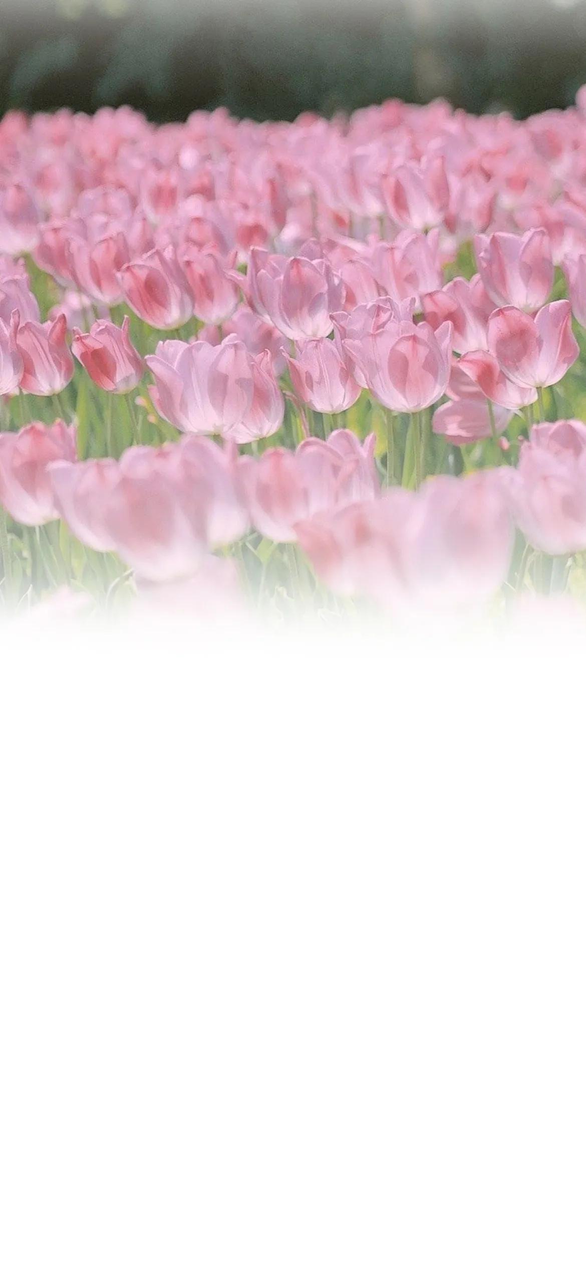 微信聊天背景渐变图,聊天背景壁纸图片彩色渐变