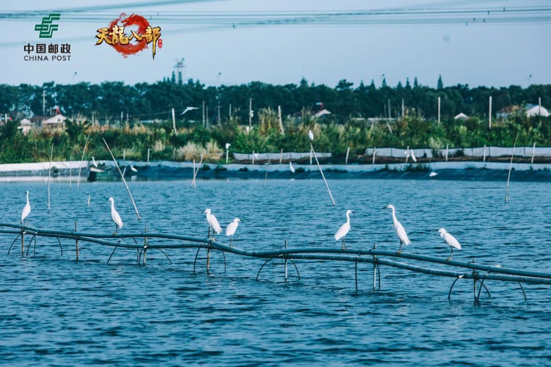 姝︿緺mmo绔父鎺ㄨ崘2024,姝︿緺mmo绔父鎺ㄨ崘