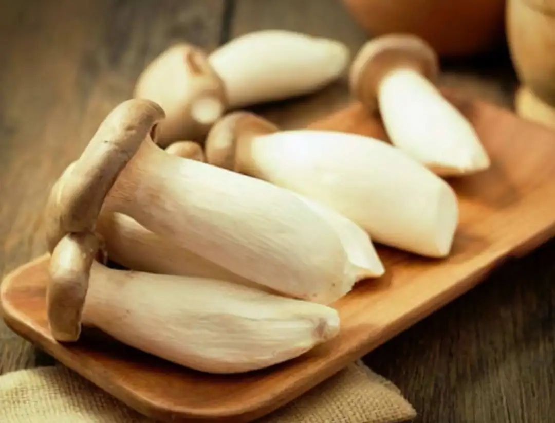 浙江人常吃的蔬菜有哪些,幼儿园常吃的蔬菜有哪些