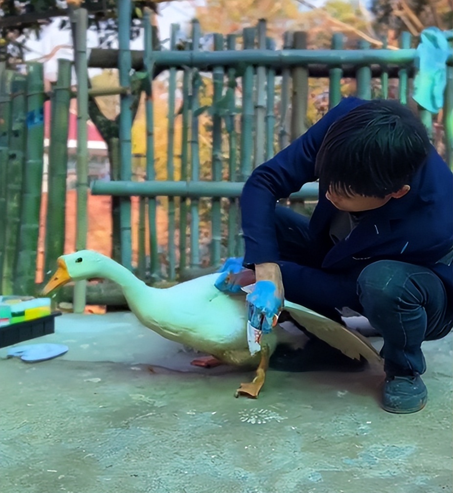 网红帅农鸟哥视频,黑马帅农鸟哥是如何走红的