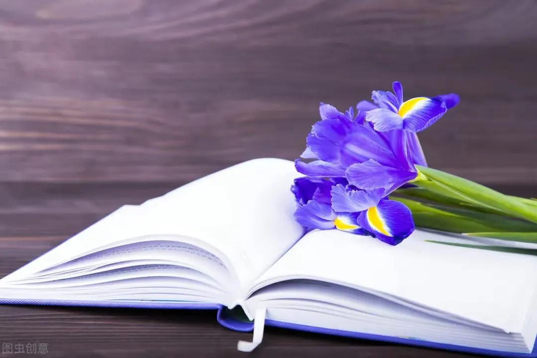 GoodNightChickBall!晚安！小鸡球球！暑假家庭双语剧系列