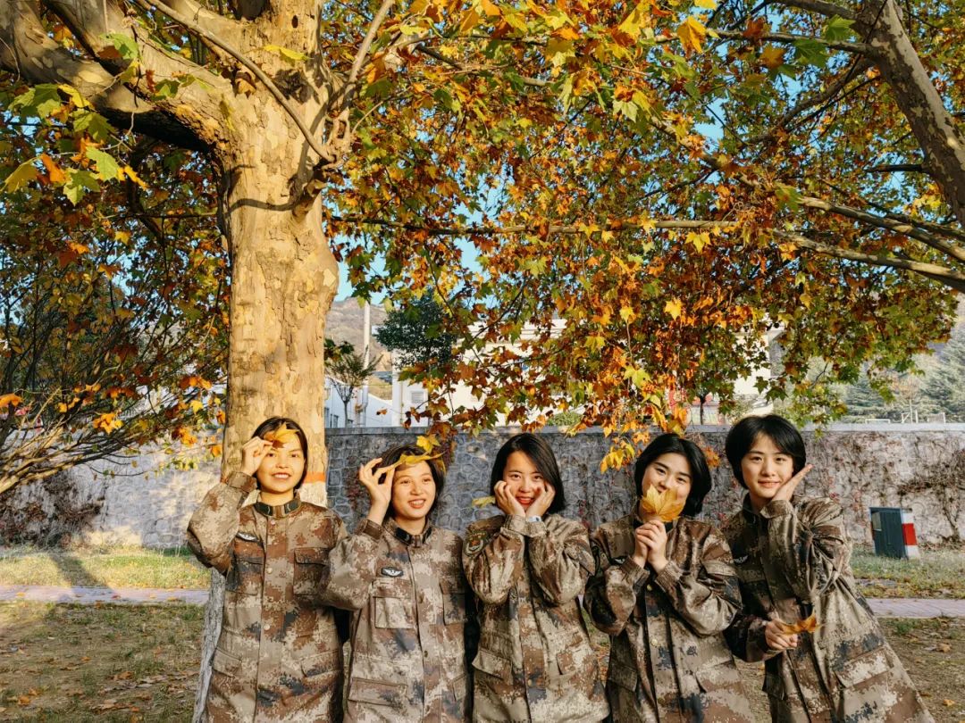 秋天军营风景,军营秋天