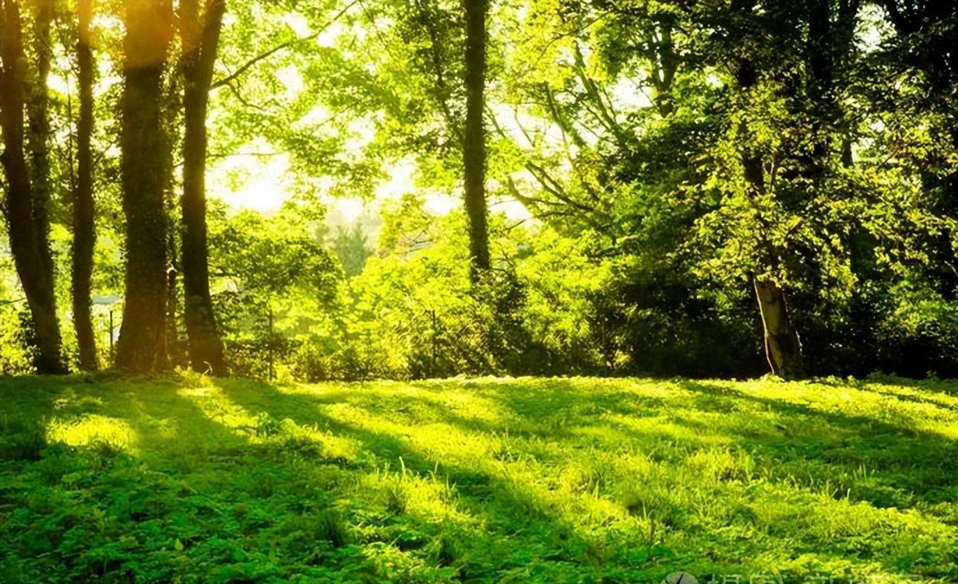 在厦门年薪多少能买房,厦门公务员买房政策