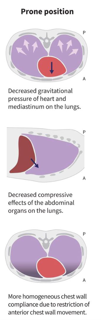 有球必应大号直播,有球必应2021直播视频