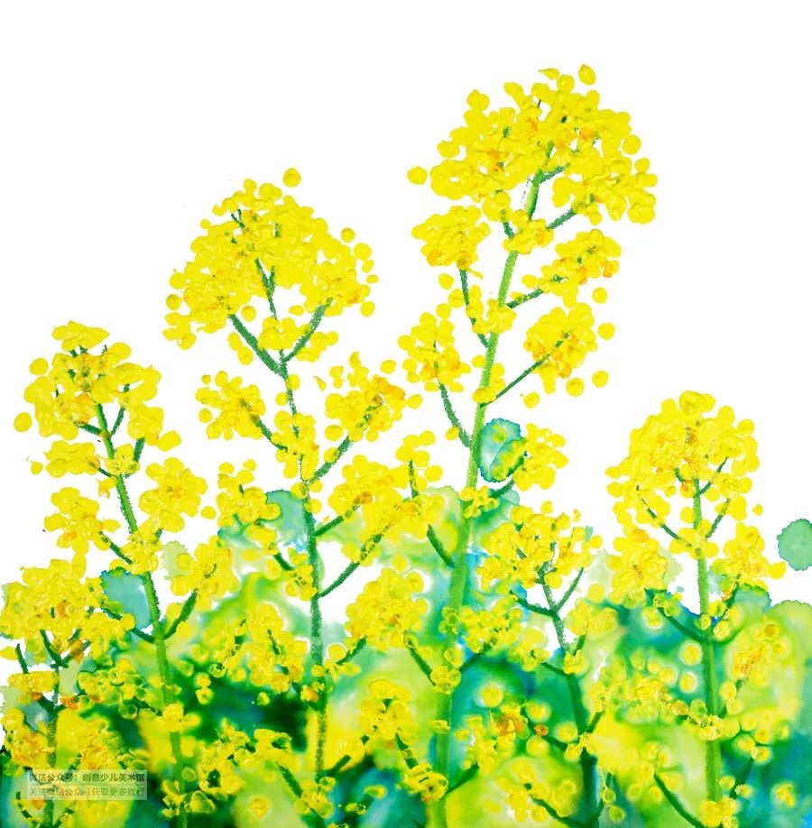 儿童画教程｜春季自然美学课程《正是油菜花开时》