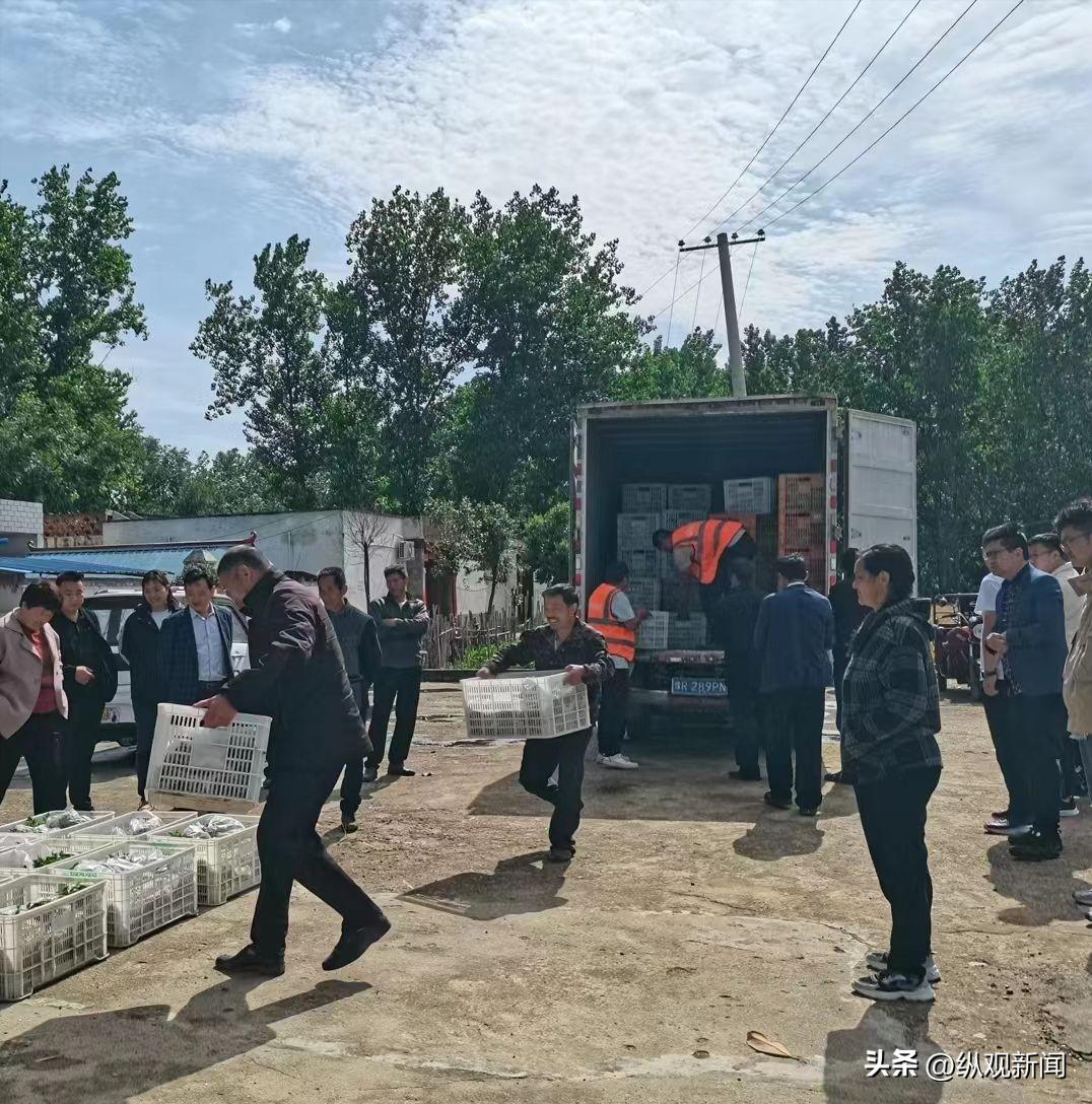 农民种植蔬菜免费送,免费送鸡苗给农户