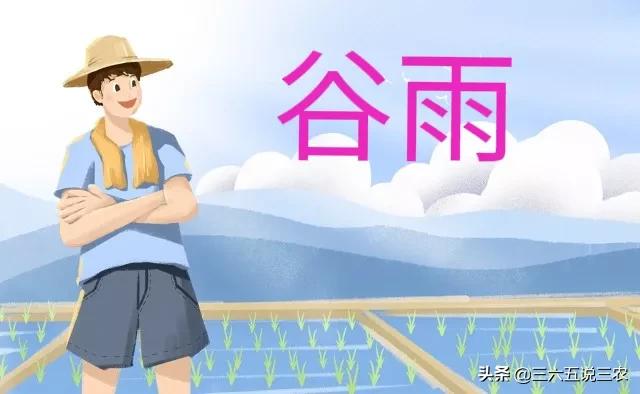 谷雨天气预报什么意思,今日天气预报问候语