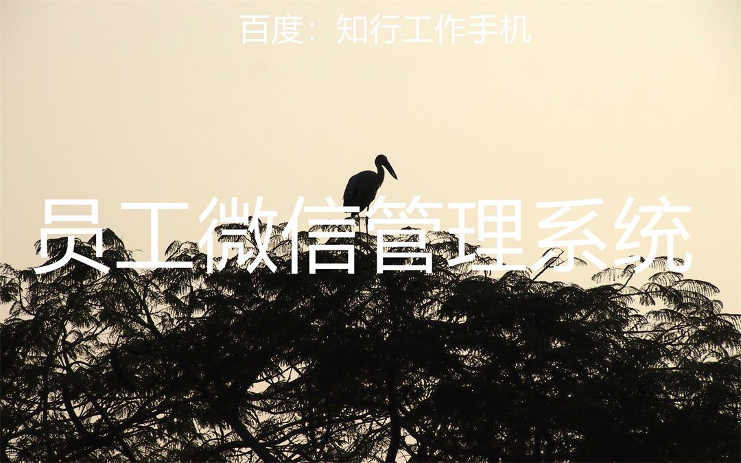 企业微信私域运营管理工具有哪些,个人微信私域运营哪个软件好