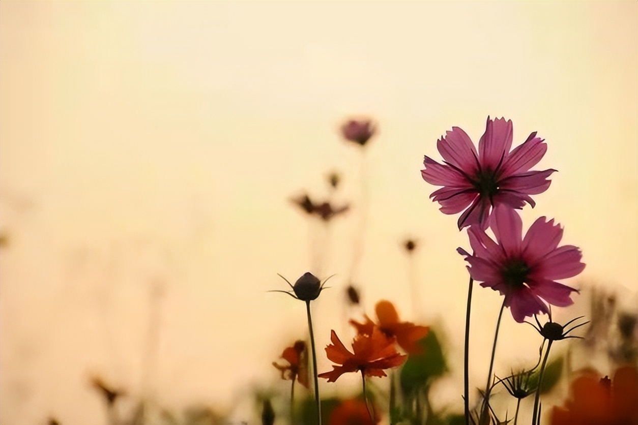 不喜欢各种饭局,吃饭从来不主动请客的人