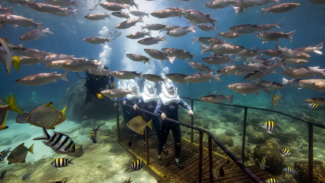 蜈支洲岛哪种潜水适合新人,蜈支洲岛潜水值得吗