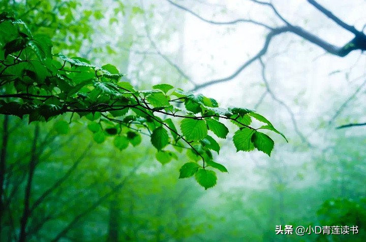 描写春的唯美古诗词,描写春天春水春风的诗词