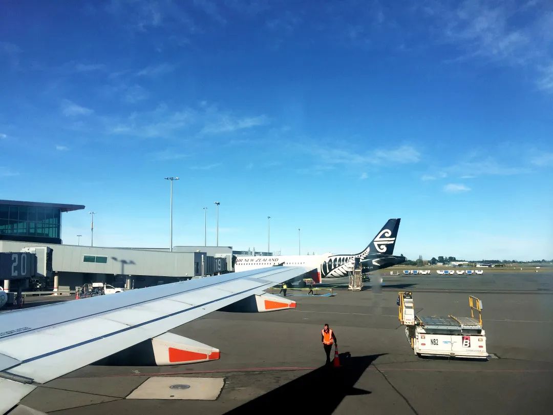 写给不被疫情束缚的心:用文字“云”游新西兰全境