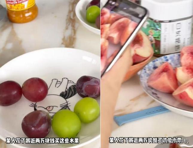 盘点王思聪的女朋友们,王思聪所有女友的详细介绍