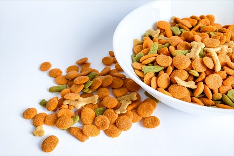 爱犬随之消失的原因,爱犬夜里呕吐怎么治