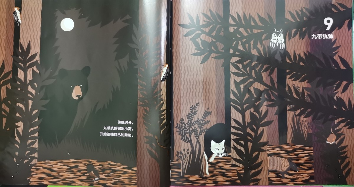 绘本和我一起数星星,儿童绘本推荐3-6岁星星主题