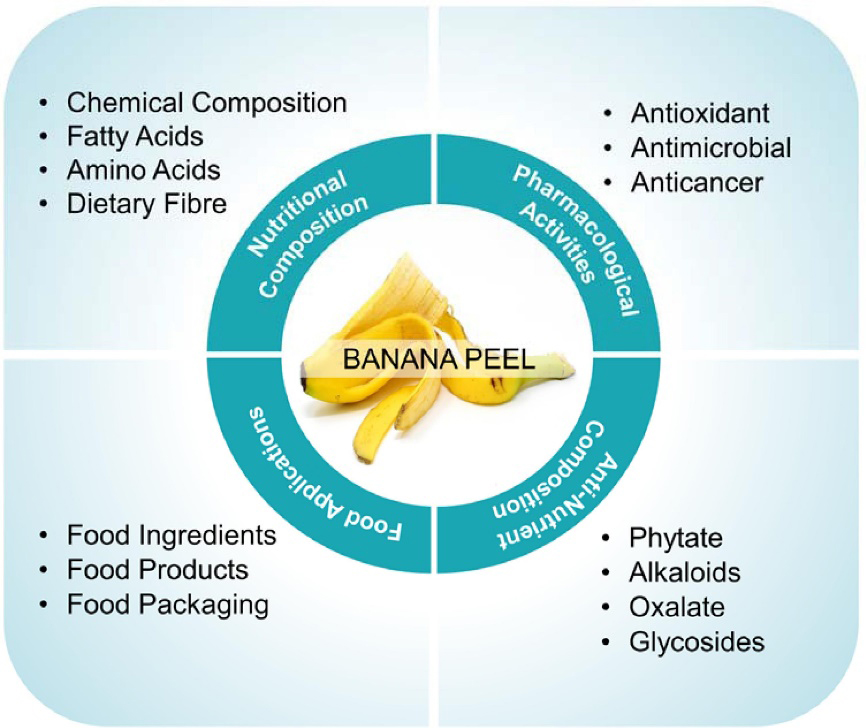 别拿甜果子不当干粮,别拿零食不当干粮
