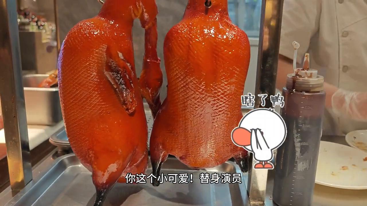 波龙畅吃自助青岛,北京799元海鲜自助波龙随便吃