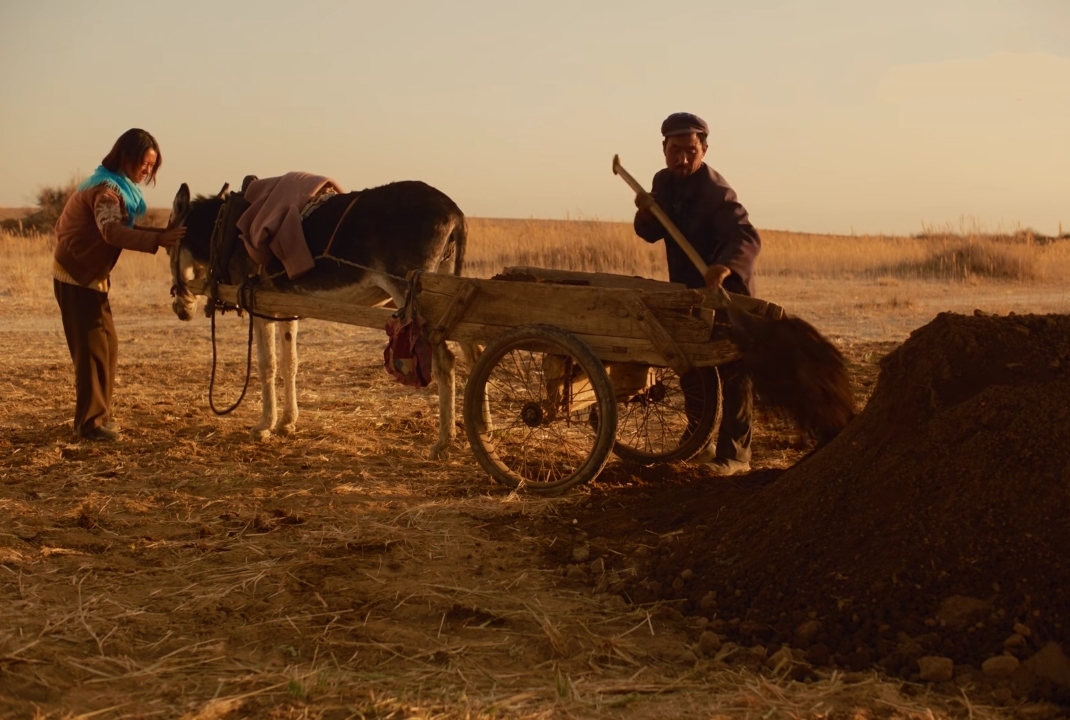 《隐入尘烟》被下架大可不必，其实可以正视研究改进它