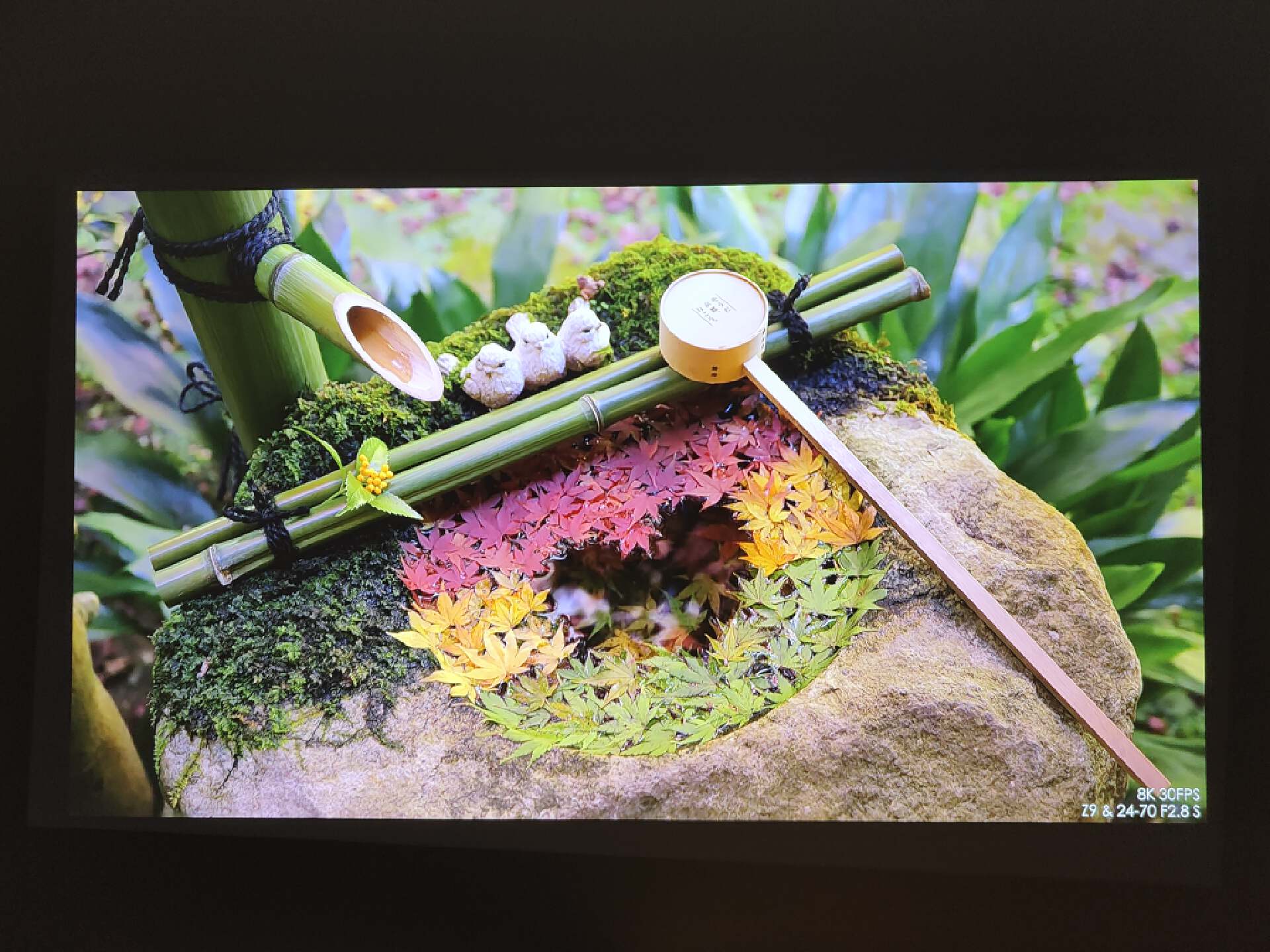 闅忔椂闅忓湴瑙傚奖,闅忔椂闅忓湴鐪嬬數褰辩殑鎰熷彈