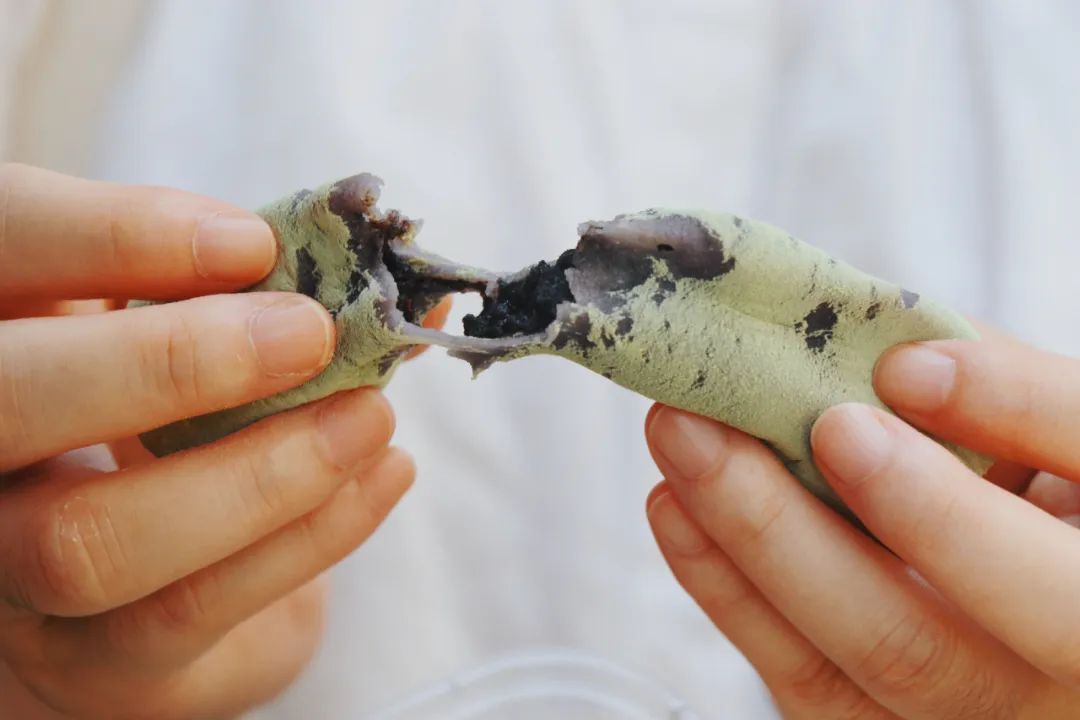 两天一夜嗨吃15顿，这座小城真把人香迷糊了