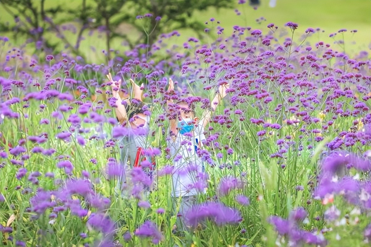 重启后的上海，发生了两大变化，健身游玩、Costco和唯品会