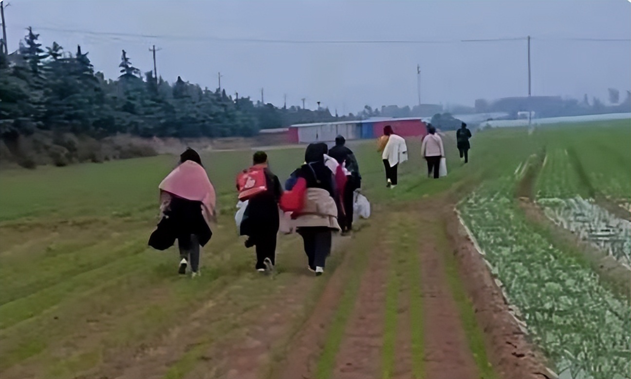 富士康员工离职后悔吗,富士康回来的员工说的实话