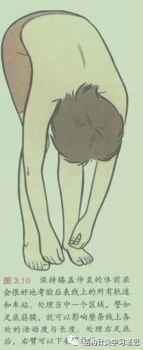 拔罐中的走罐,拔罐走罐视频