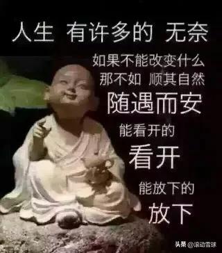 大智若愚大巧若拙区别,大智若愚大巧若拙的例子