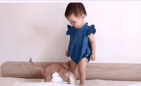 2018年全国宠物展排期表,深圳宠物展会2021排期明细表