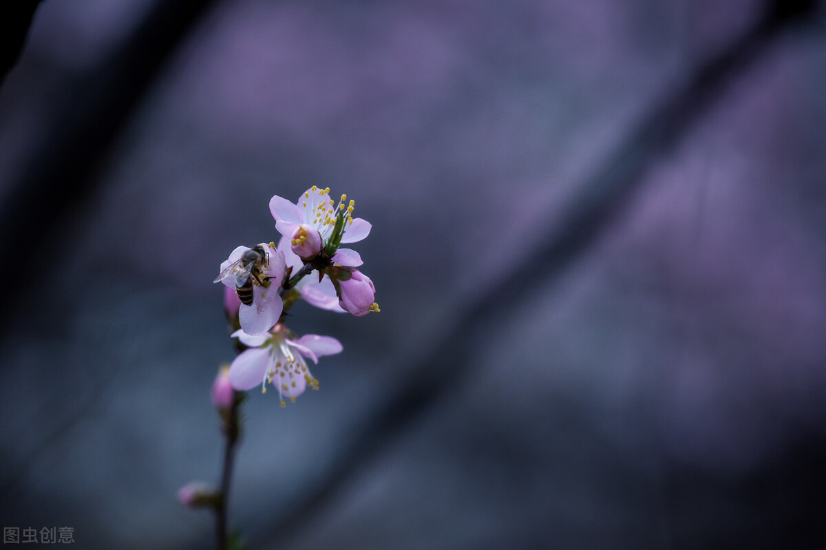 心软是病怎么治,过于心软
