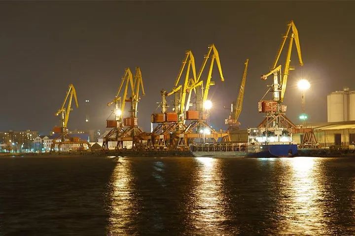 2021鸭苗行情走势预测,鸭苗行情走势分析图