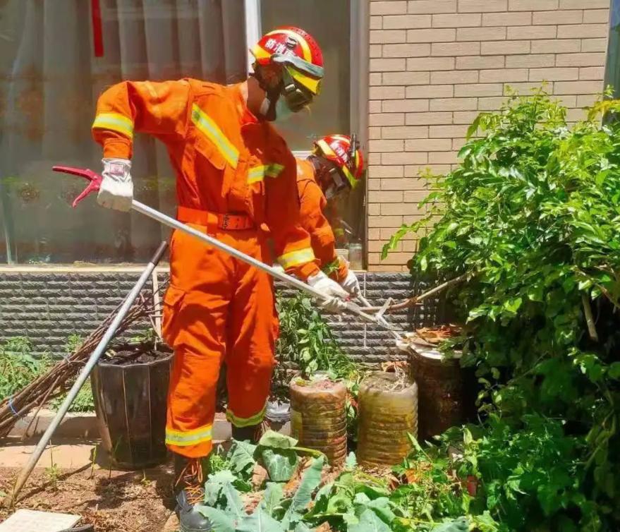 又是蛇！江西老人在被窝里摸到蛇，这种情况该如何处理？