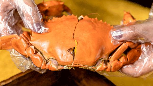 我为什么建议你来北上广深奋斗,我为什么建议你留在一线城市