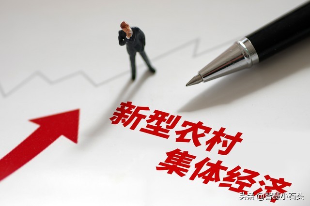 发展壮大农村新型集体经济,农民合作社推动新型集体经济