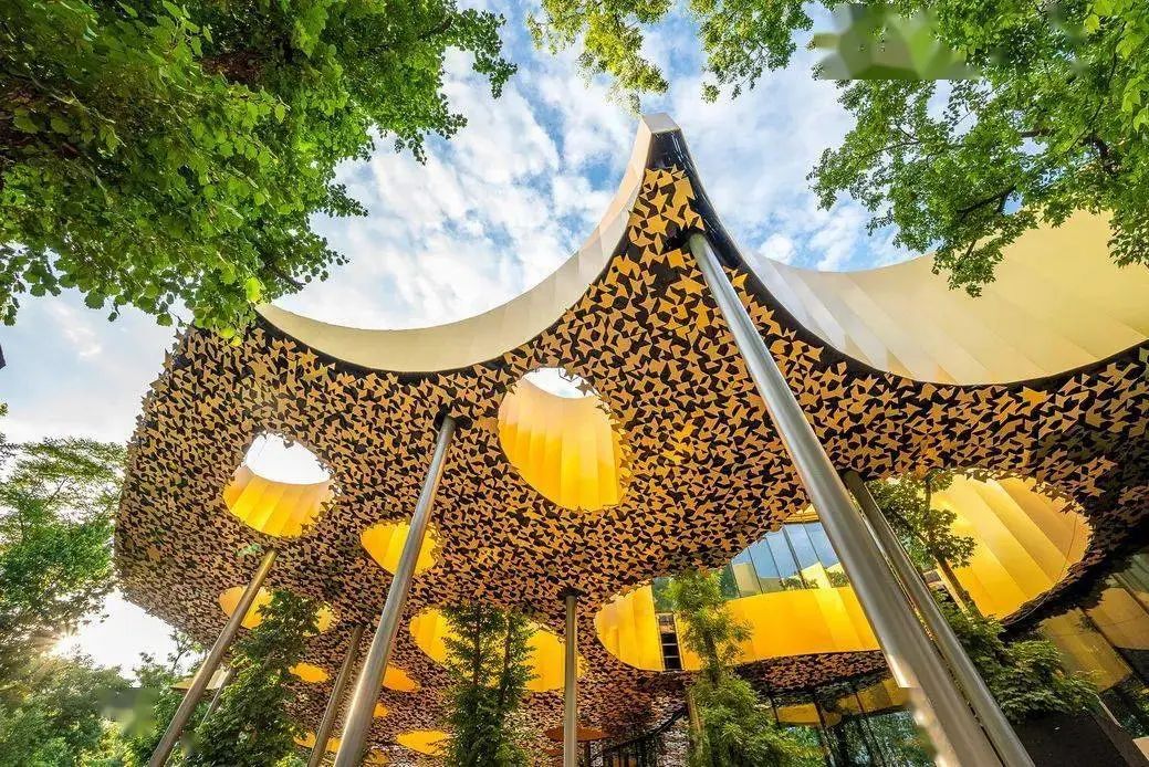 艺术欣赏自然之美,自然美和艺术的美