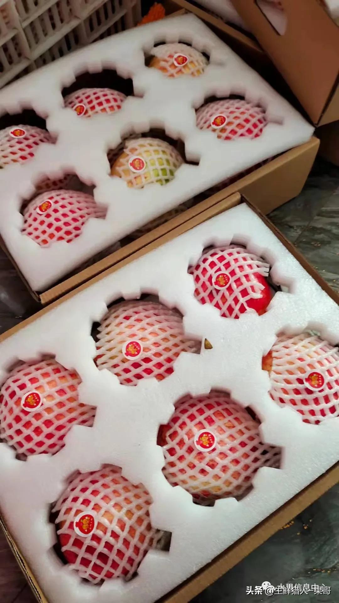 在水果中浆果是分哪几种,水果分类浆果