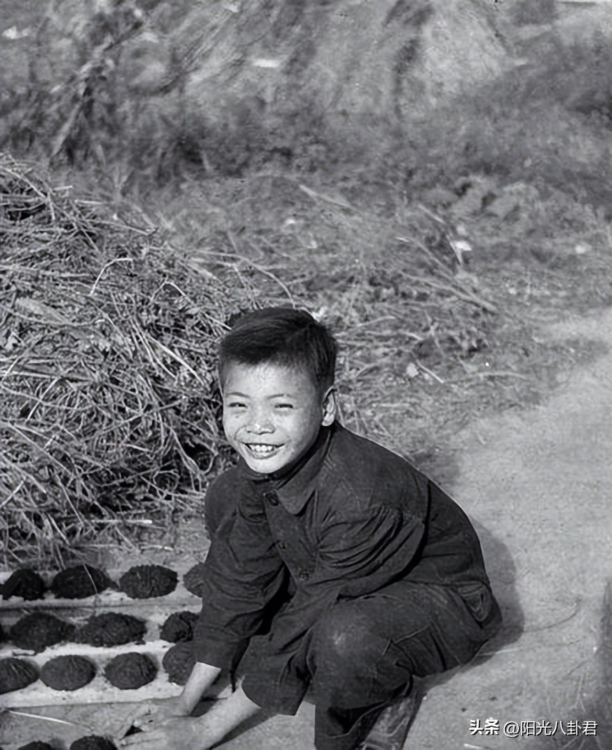 5位出道的明星,哪些明星以前做过运动员