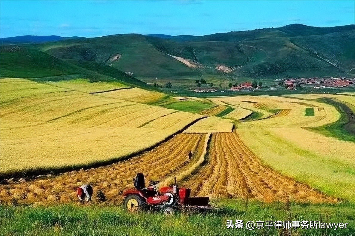 农村基本农田被破坏怎么办,搞农田建设毁坏农田怎么补偿