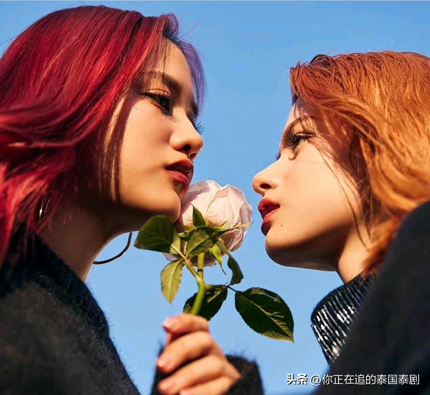 泰国人评论陈星宇,陈星宇泰国