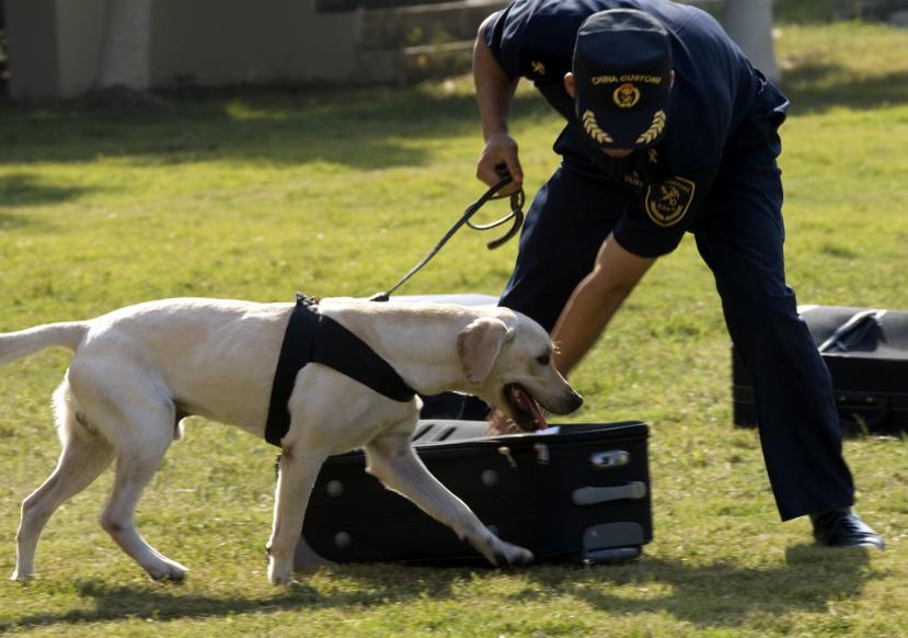 警犬工资一万八真的假的,警犬一月工资
