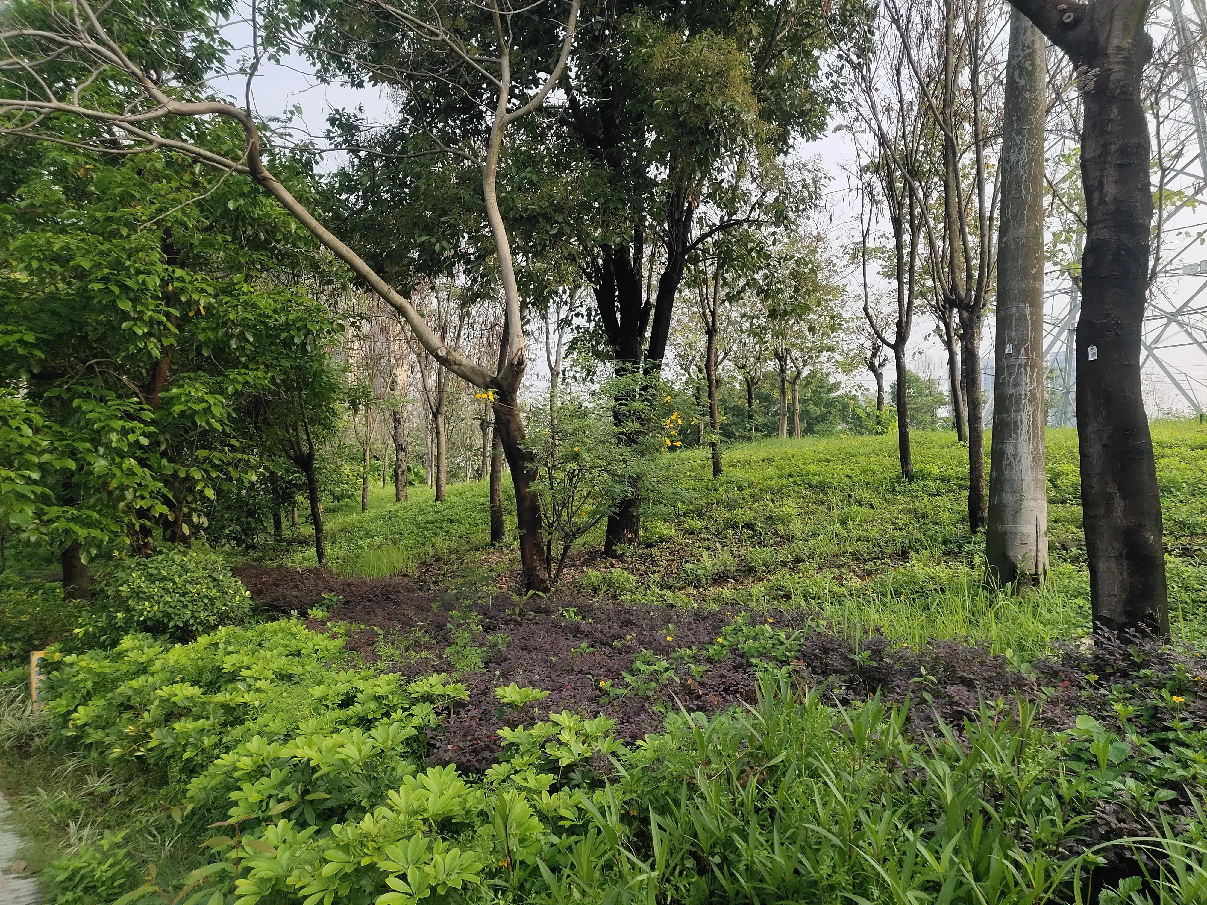 给国外客户报错价格怎么办,外贸发错型号给客户怎么办